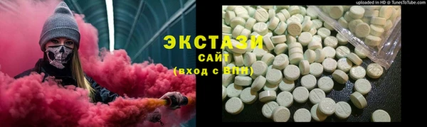 мдпв Гусев
