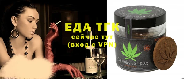 мдпв Гусев