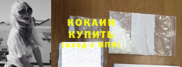 мдпв Гусев