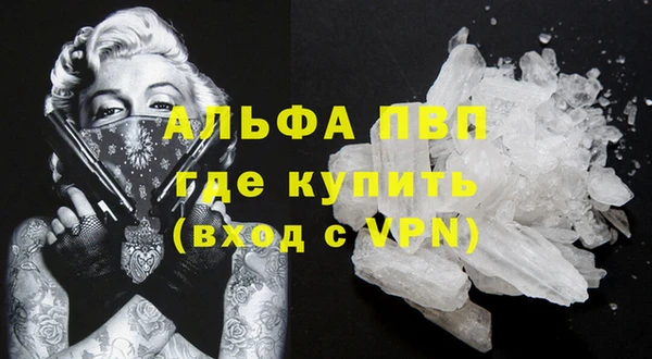 мдпв Гусев
