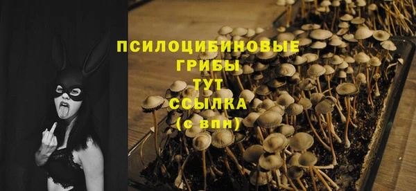 мдпв Гусев