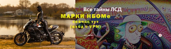 мяу мяу мука Гусь-Хрустальный