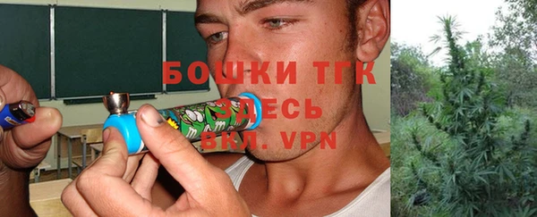 мяу мяу мука Гусь-Хрустальный
