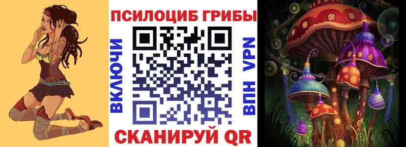 Галлюциногенные грибы Psilocybine cubensis купить наркотики цена Черепаново